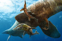 Mosasaurs illustration. Image credit: Julius T Csotonyi for the University of Yale