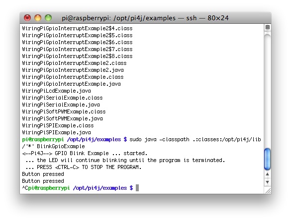 RaspberryPi Java CommandLine