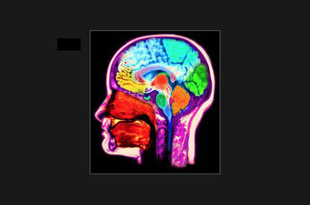 fmri_brain_v2
