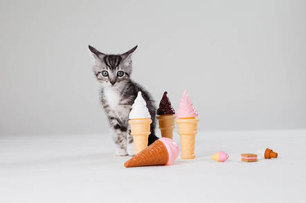 https://www.flickr.com/photos/foundanimalsfoundation/ by Found Animals Foundation CC 2.0 https://www.flickr.com/photos/foundanimalsfoundation/