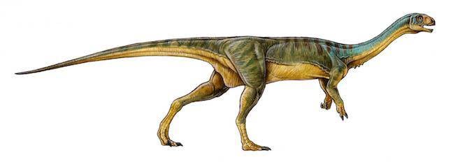 Chilesaurus diegosuarezi. Image credit: University of Birmingham 