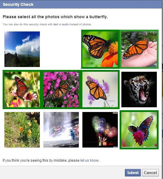 Facebook Butterfly Captcha