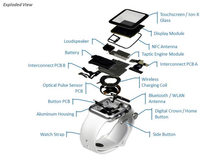 Apple Watch dissected Apple Watch dissected