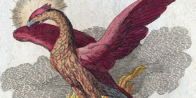 Phoenix