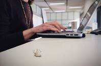 Computer with dead bug, Stacy Brunner CC2 license