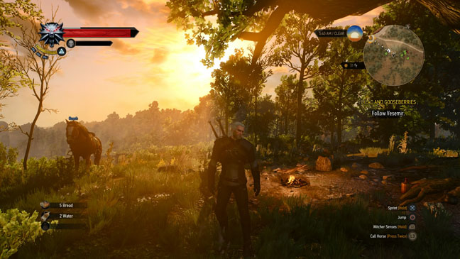 Witcher 3: Wild Hunt