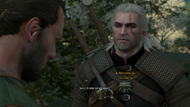 Witcher 3: Wild Hunt