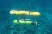 The Sirius Autonomous Underwater Vehicle 