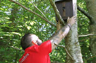 Vodafone bird box signal repeater