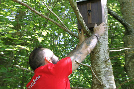 Vodafone bird box signal repeater