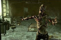 Fallout 3