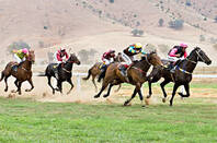 Horse_racing