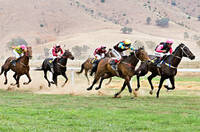 Horse_racing