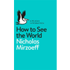 Nicholas Mirzoeff, How To See The World book cover