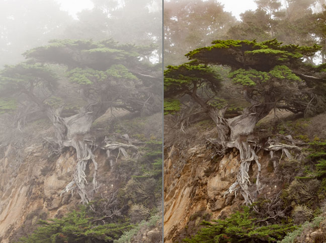 Lightroom DeHaze before and after