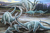 Diplodocuses. Pic: James St John