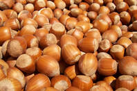Hazelnuts