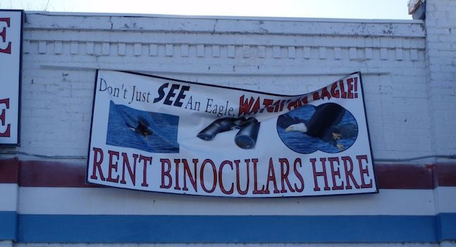 Sign with text: Don't just hear an eagle, Watch an eagle! Rent binoculars here
