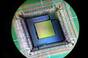 D-Wave chip