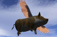 flying_pig_648