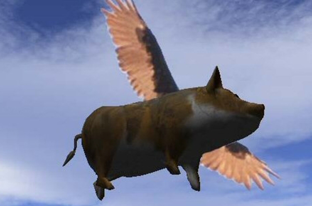 FLYING PIG crashlands in Utah Rider survives, bacon saved • The Register