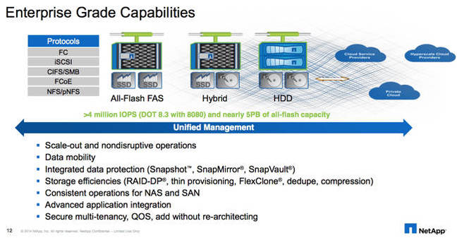 NetApp_Enterprise_Grade_Capabilities