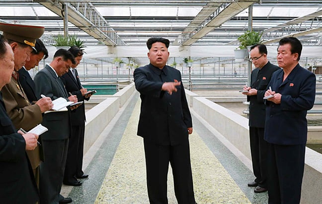 Kim Jong-un at the terrapin farm. Pic: Rodong Sinmun