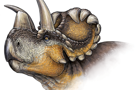 Credit: PLoS One/Danielle Dufault