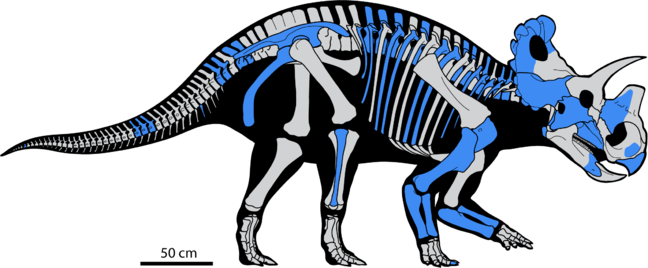 Credit: PLoS One/Danielle Dufault Credit: PLoS One/Danielle Dufault
