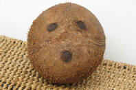 Coconut face by https://www.flickr.com/photos/22327649@N03/ cc 2.0 attribution https://creativecommons.org/licenses/by/2.0/