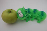 Bug eating an apple