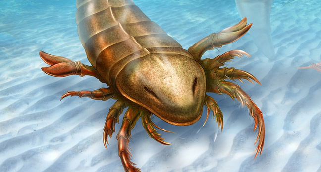 Giant Sea Scorpion Which Prowled Ancient Oceans Revealed The Register