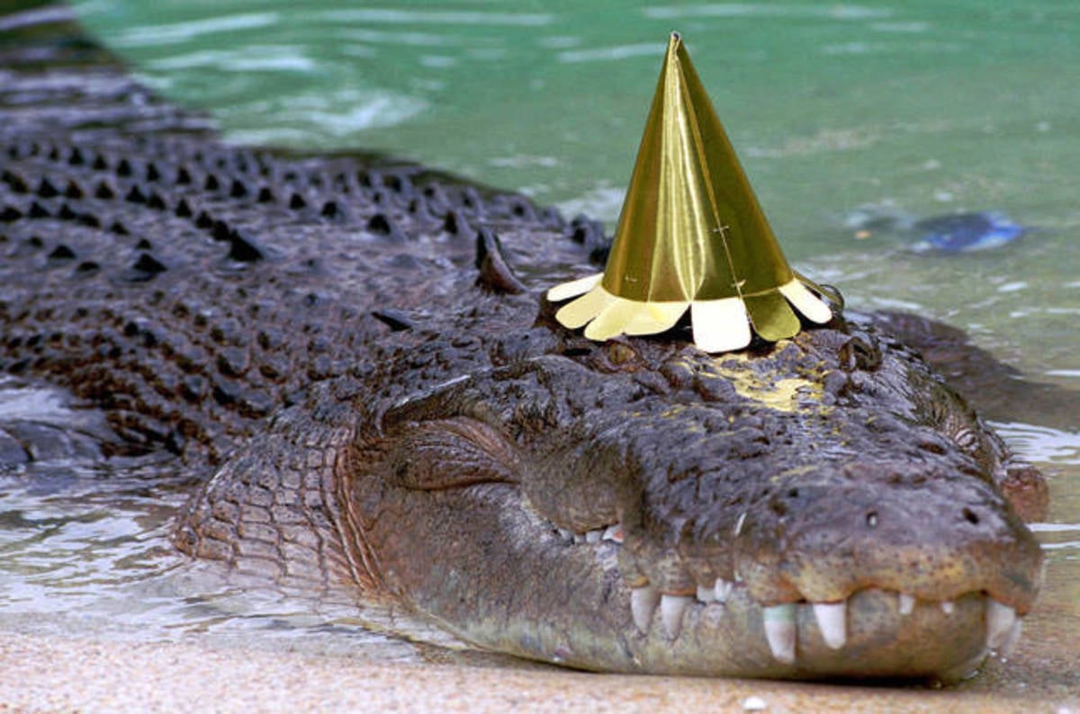 Croc Country Cops Mobile Facial Matching A Festival Party Pop • The Register