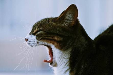 Yawning Cat by Johnc24 at Flickr, CC-20 License at https://creativecommons.org/licenses/by/2.0/