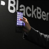 blackberry_slider_tease_648