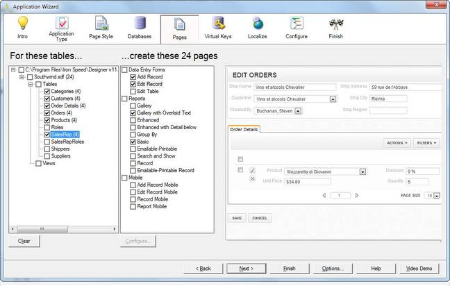 Developing an application with the Iron Speed designer