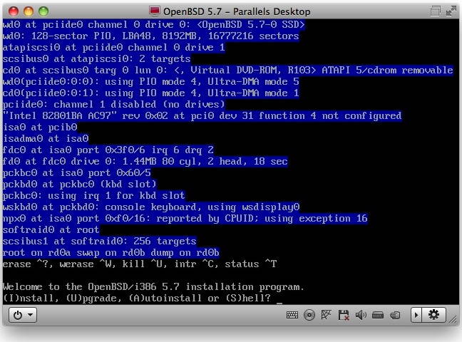 Start the OpenBSD installer