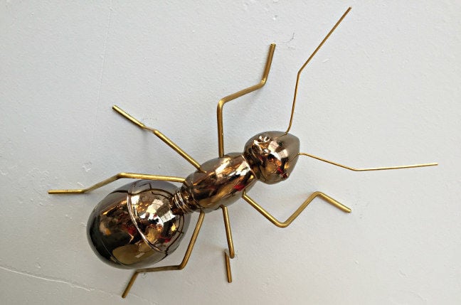 Mambo Unlimited's gold bug. Pic: Steve Caplin