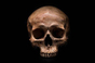 skull_648