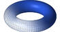 Torus