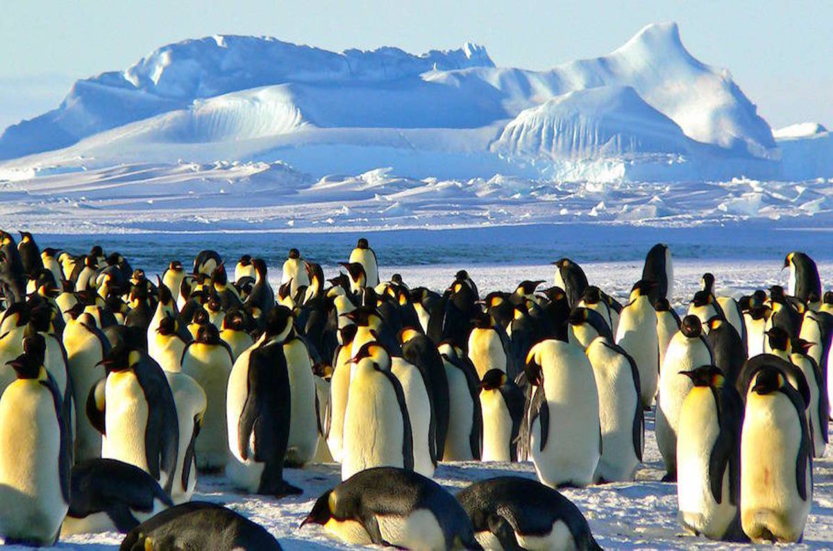 Brits seek rousing name for polar research vessel