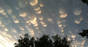 Mammatus clouds by Craig Linsday, CC 3.0 licence