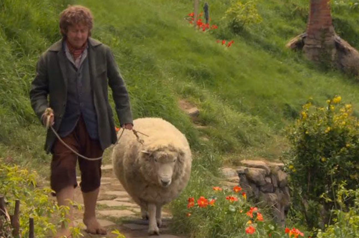 Geo-boffins say 'quake moved New Zealand by 8m at 3km/second