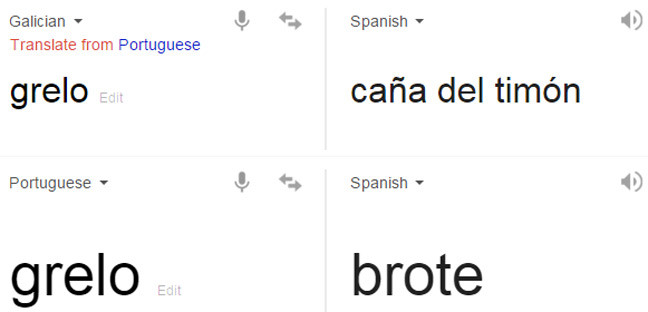 Google Translate results for grelo