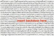 backdoor