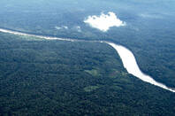 Amazonian_rainforest