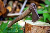 axe buried in tree stump CC0