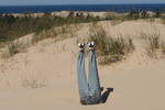 Don't stick your head in the sand by https://www.flickr.com/photos/blakeimeson/ cc 2.0 attribution noderivs https://creativecommons.org/licenses/by-nd/2.0/