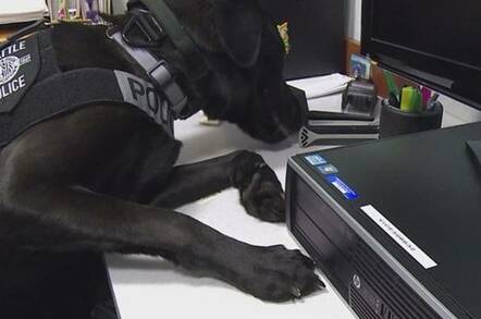 Police dog