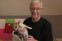 Paul O' Grady poses with a small dog.